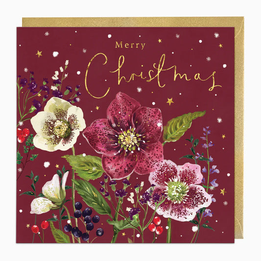 Winter Hellebores Christmas Card