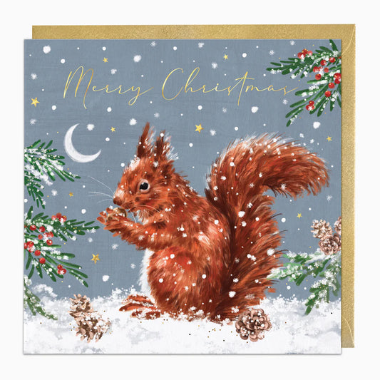 Squirrel In The Snow Christmas Card