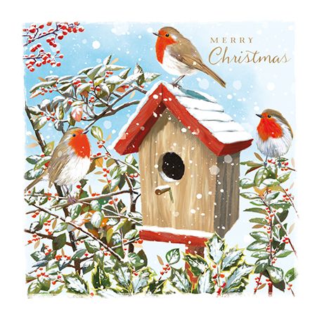 Robins And Birdbox Christmas Card, Box Of 8