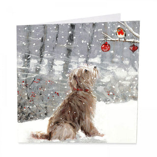 Hello There Christmas Cards 6Pk
