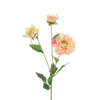ECO Dahlia Spray Cream/Pink