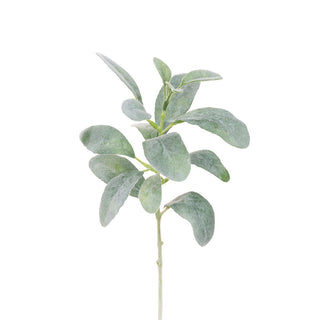 ECO Lambs Ear Shortie