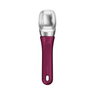 Eco Ice Cream Scoop Berry