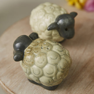 Highland Sheep Salt & Pepper Shaker