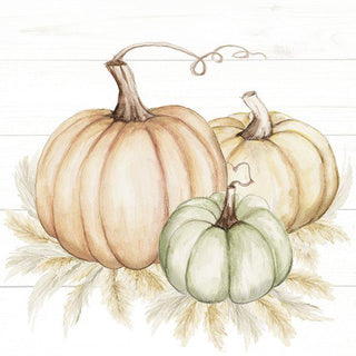 Pumpkin Trio Paper Napkins