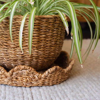 Bangali Scallop Lidded Storage Basket - Set of 3