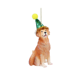 Gold Retreiver with Party Hat Tree Decoration