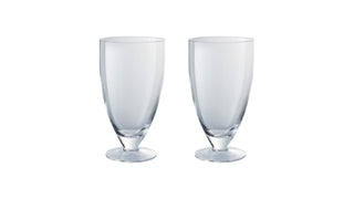 Denby Universal Clear Large Tumbler Set Of 2