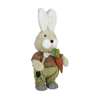Mr Bunny with Carrot & Spade Decoration
