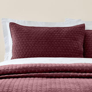 Attica Velvet Burgundy Pillowsham Pair