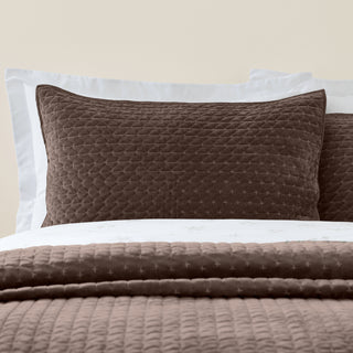 Attica Velvet Chocolate Pillowsham Pair
