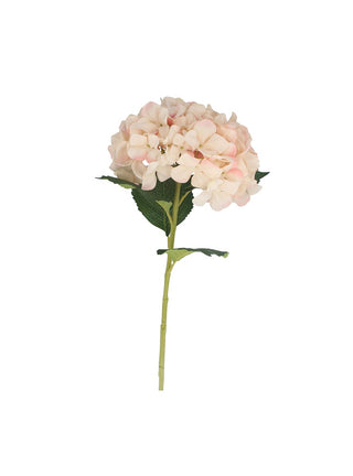 Blush Pink Hydrangea Stem