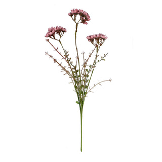 Dusty Mauve Wild Wax Flower Spray