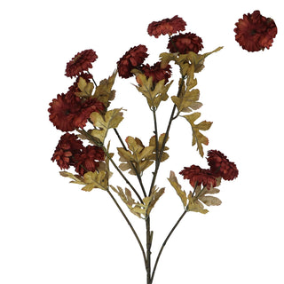 Burgundy Straw Flower 90cm