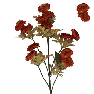 Dark Orange Straw Flower 90cm