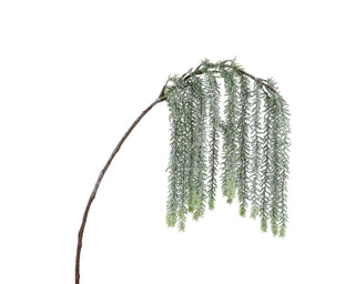Snow Finished Fir Dropped Branch
