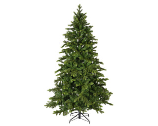 Galloway Spruce Christmas Tree 8ft