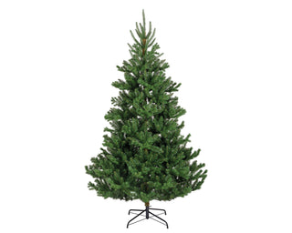 Alba Fir Christmas Tree 8ft