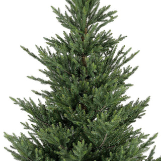 Norway Spruce Christmas Tree 7ft