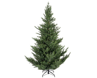 Norway Spruce Christmas Tree - 240cm