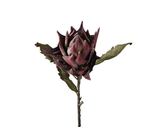 Purple Artichoke Stem