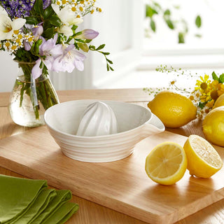 Juicer White
