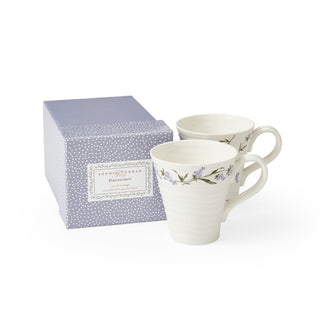 Lavandula Set of 2 Mugs