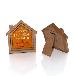 My Favourite Pumpkin Wood Framed House with Easel