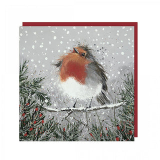 Christmas Pudding Christmas Cards, 6 Pack