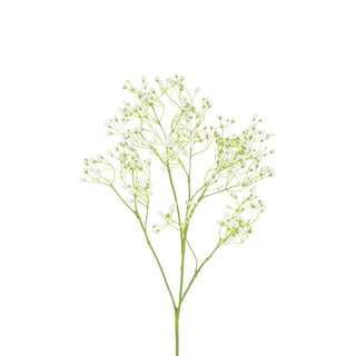 Supreme Gypsophila White