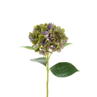 Purple Green Hydrangea Stem 67cm