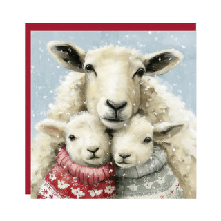 Christmas Cuddles Christmas Cards 6pk