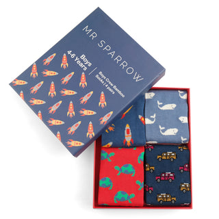 Boys 2-3 Years Little Prince Socks Gift Box