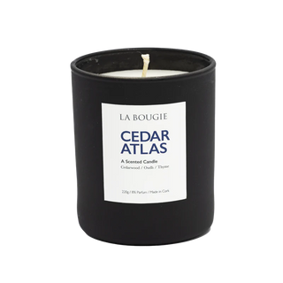 Cedar Atlas Candle