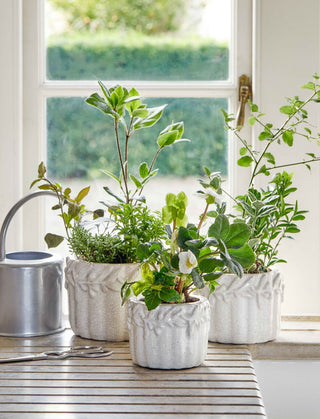 Cetara Pot 18cm White