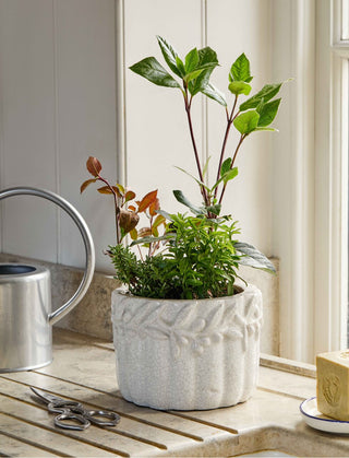 Cetara Pot 18cm White