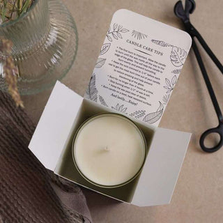 Wintertide Nordic Pine Candle
