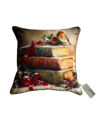 Velvet Christmas Robin Cushion
