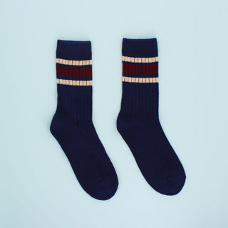 Hector Men's Stripe Socks Navy
