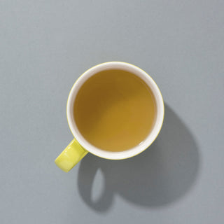 Organic Green Tea Sencha Pyramids 15s