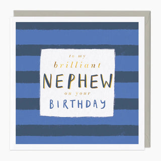 Brilliant Nephew Birthday Card