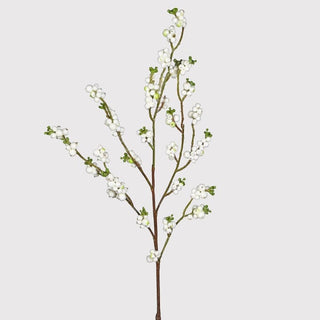 White Snowberry Spray
