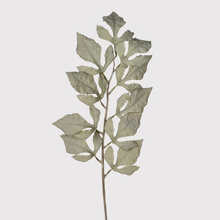 Ghost Dhalia Leaf Spray