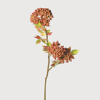 Sorbus Berries Spray with Leaves
