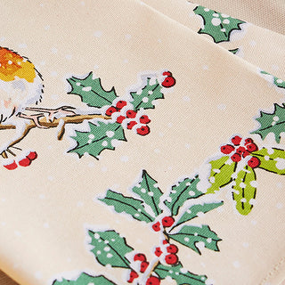 Christmas Robins Napkins 2Pk