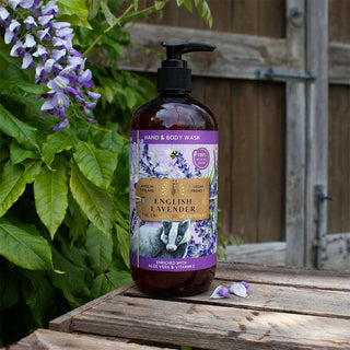 Anniversary English Lavender Hand & Body Wash