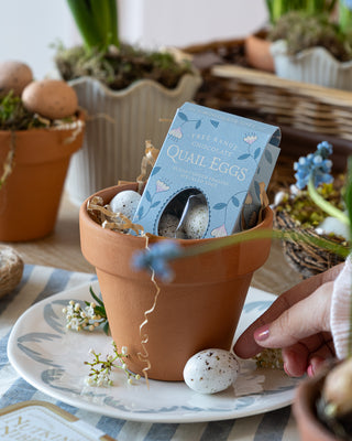 Praline Quail Eggs