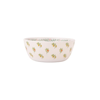 Fruit Melamine Cereal Bowls 4pk