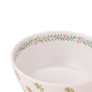Fruit Melamine Cereal Bowls 4pk