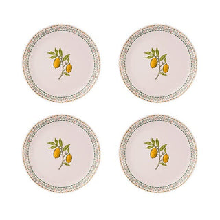 Fruit Melamine Dinner Plates 4Pk